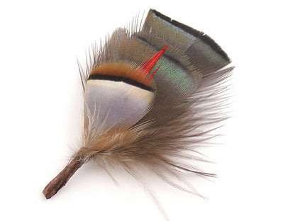 Partridge Hat Mount - Pack of 10