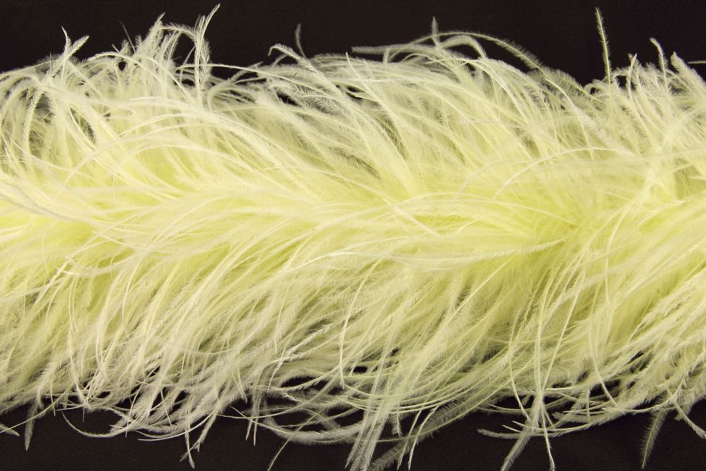 Ostrich Feather Boa with Stripped Coque - Dancewear Colours