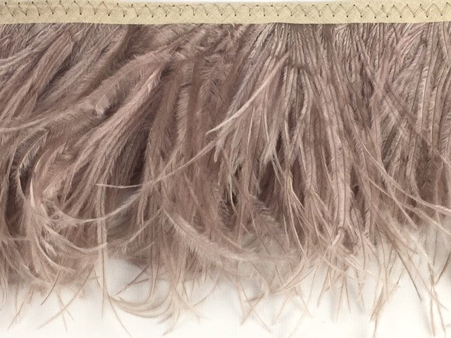 2 Ply Ostrich Feather Fringe 10 cm depth - Fashion Colours