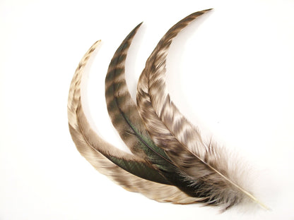 Long Chinchilla Coque Fringe - Dancewear colours