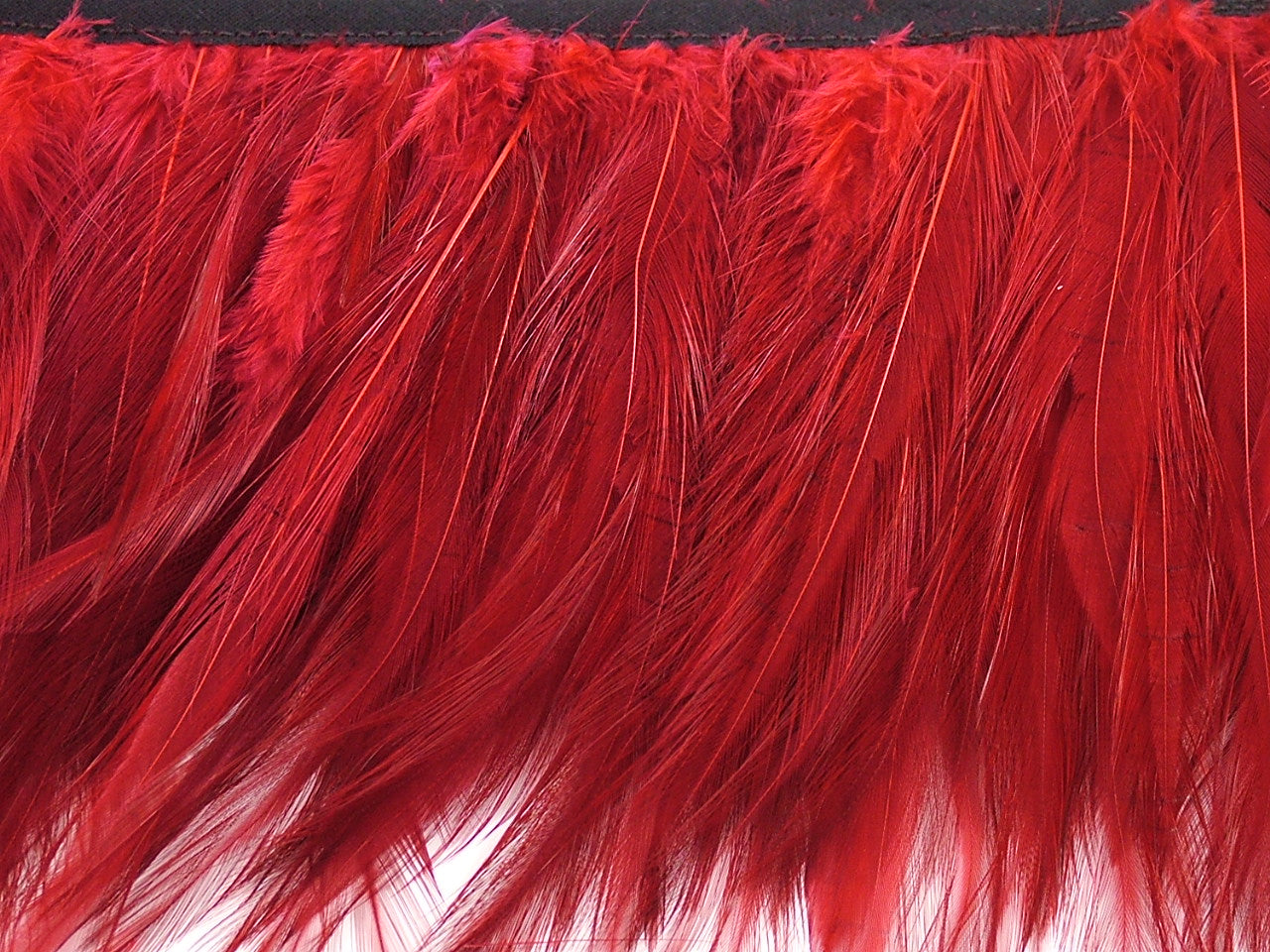 Dancewear Hackle Feather Fringe