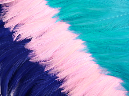 Dancewear Hackle Feather Fringe