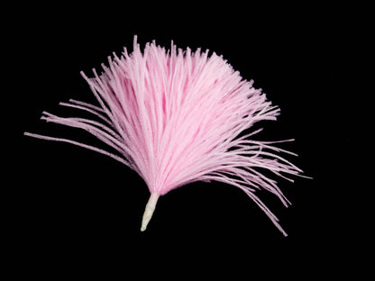 Ostrich Pom