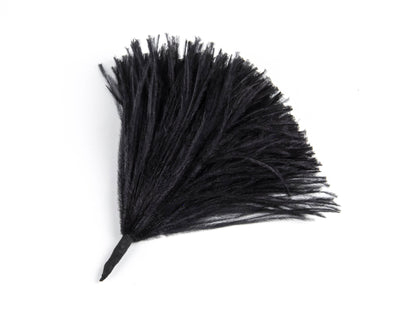 Ostrich Pom
