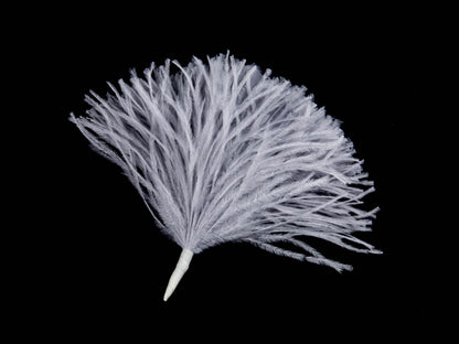 Ostrich Pom