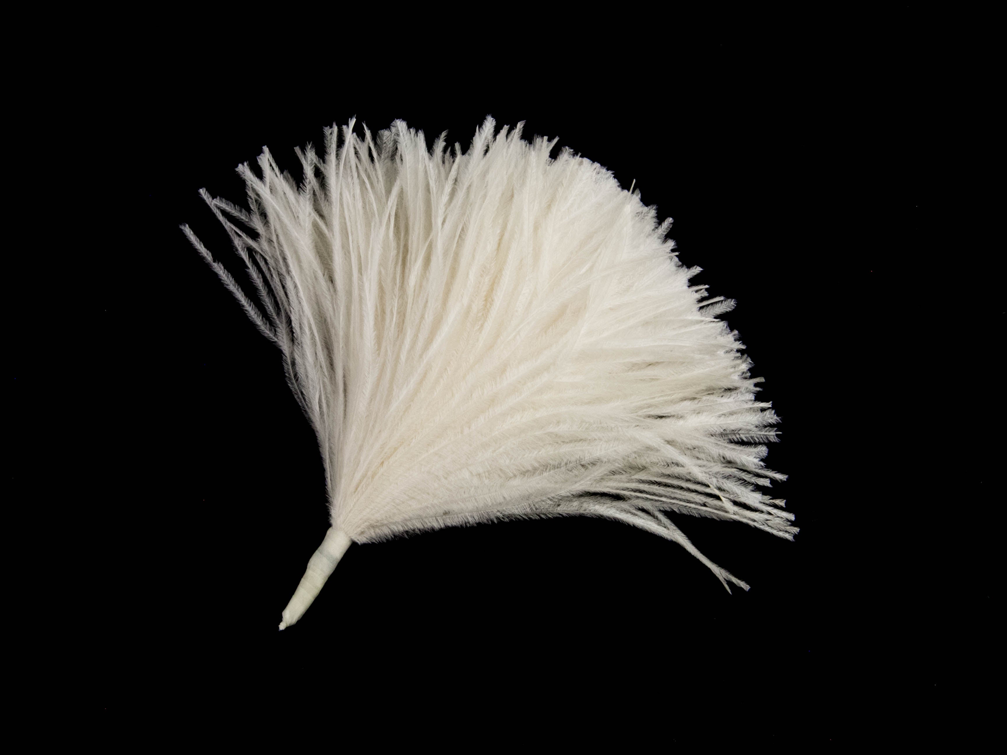 Ostrich Pom