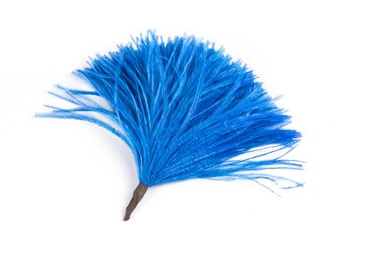 Ostrich Pom