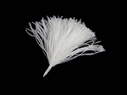 Ostrich Pom