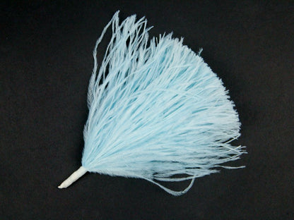 Ostrich Pom