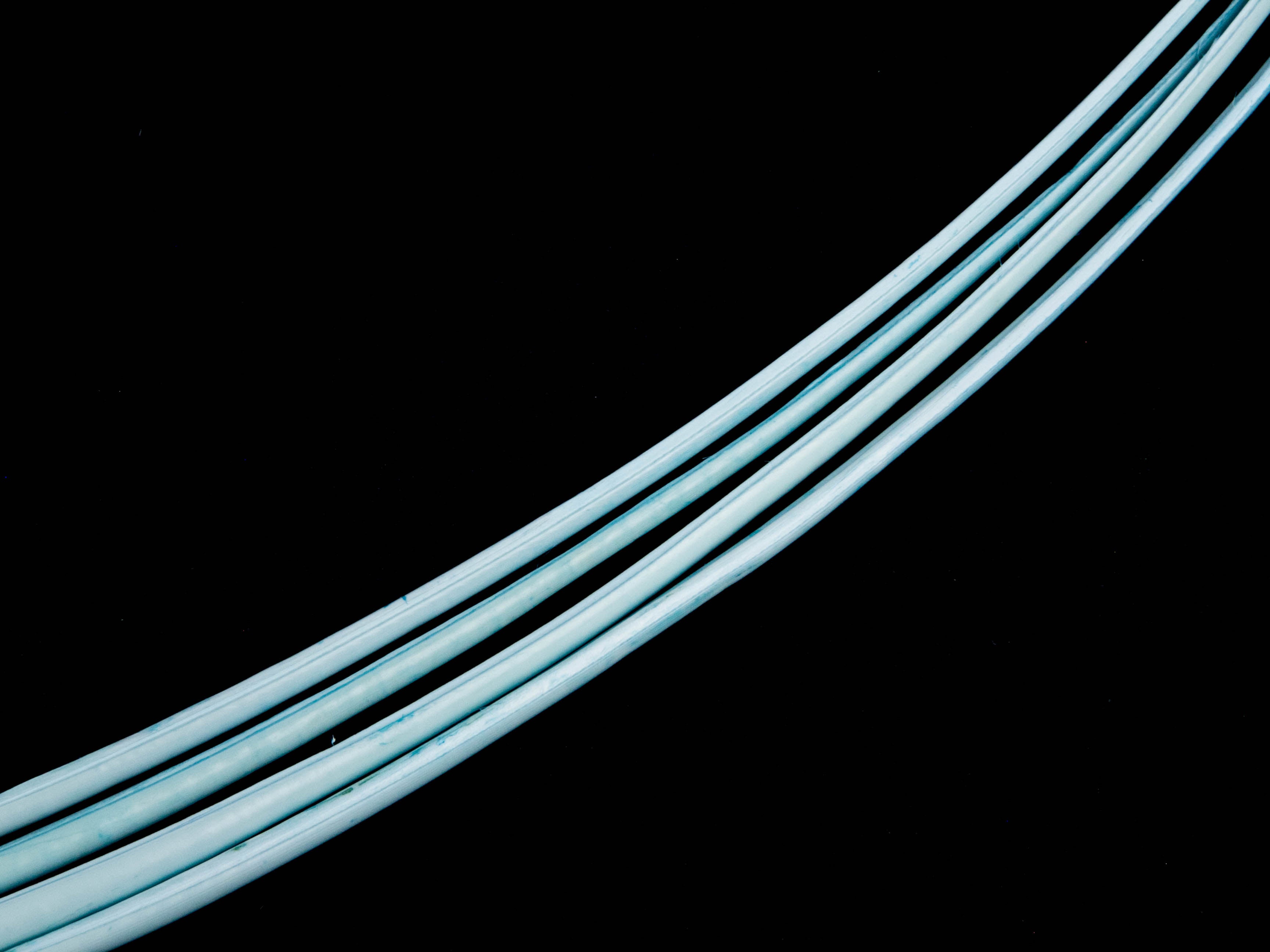 Stripped Ostrich Quill (Pack of 5)