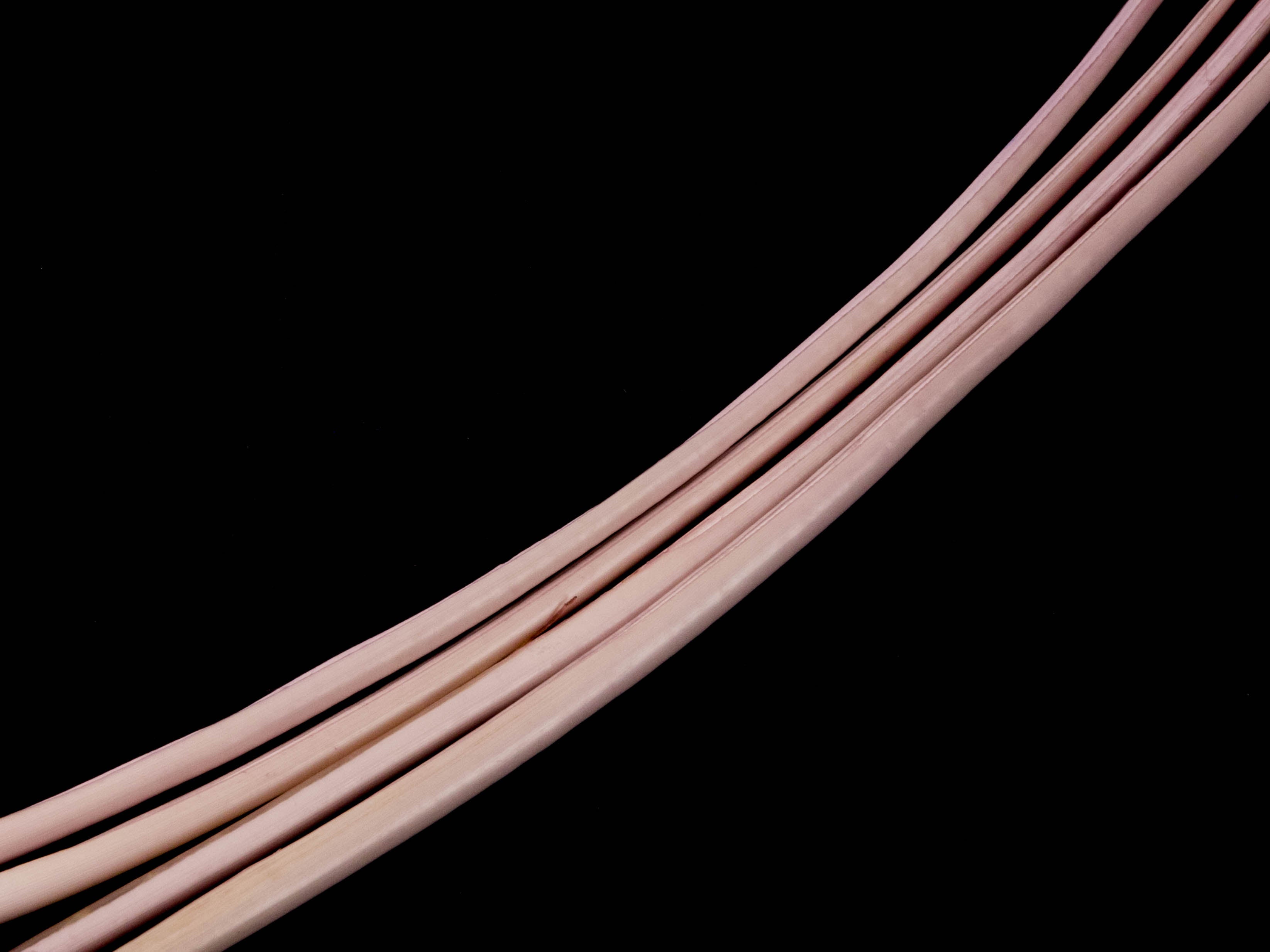 Stripped Ostrich Quill (Pack of 5)