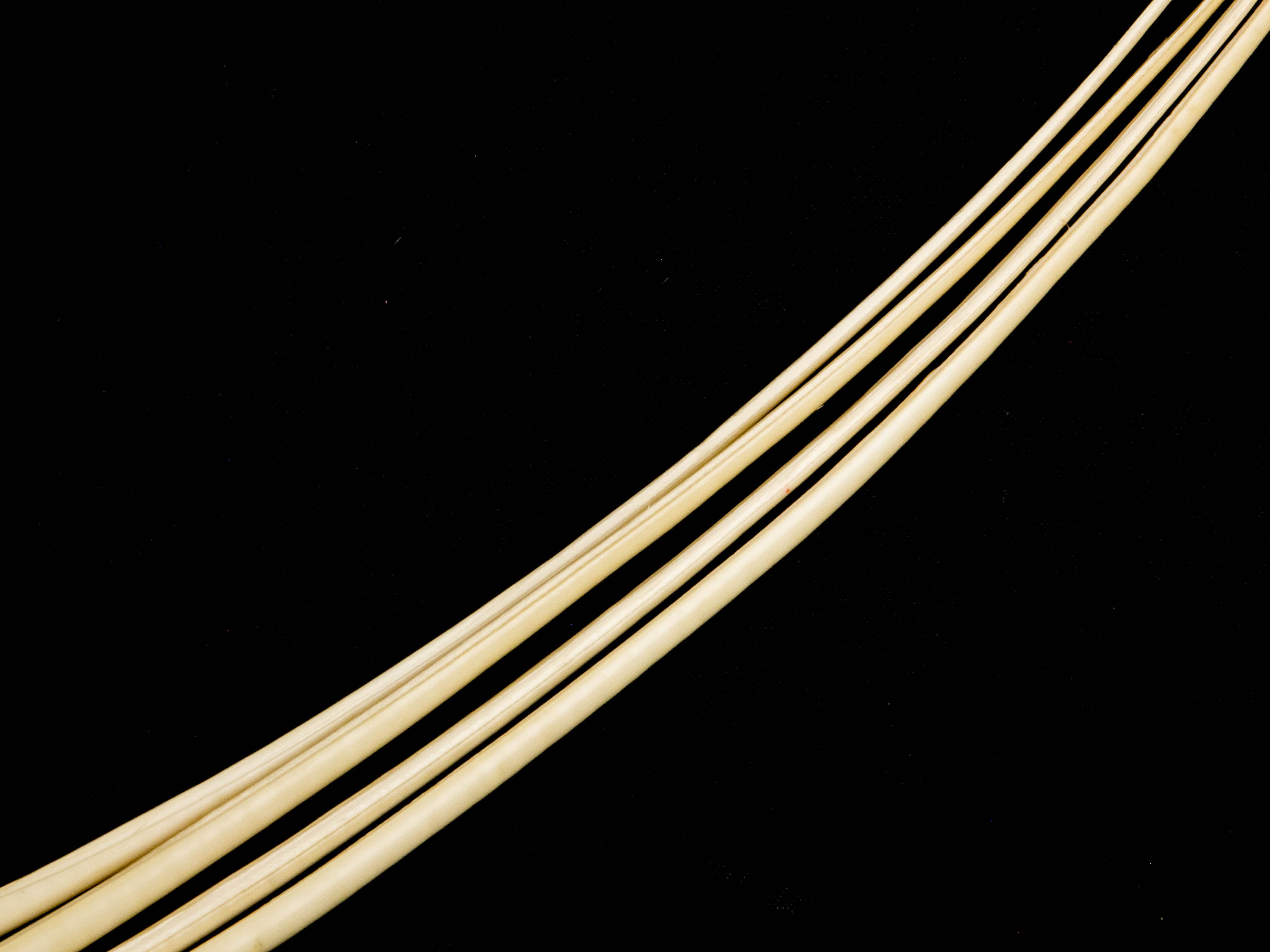 Stripped Ostrich Quill (Pack of 5)