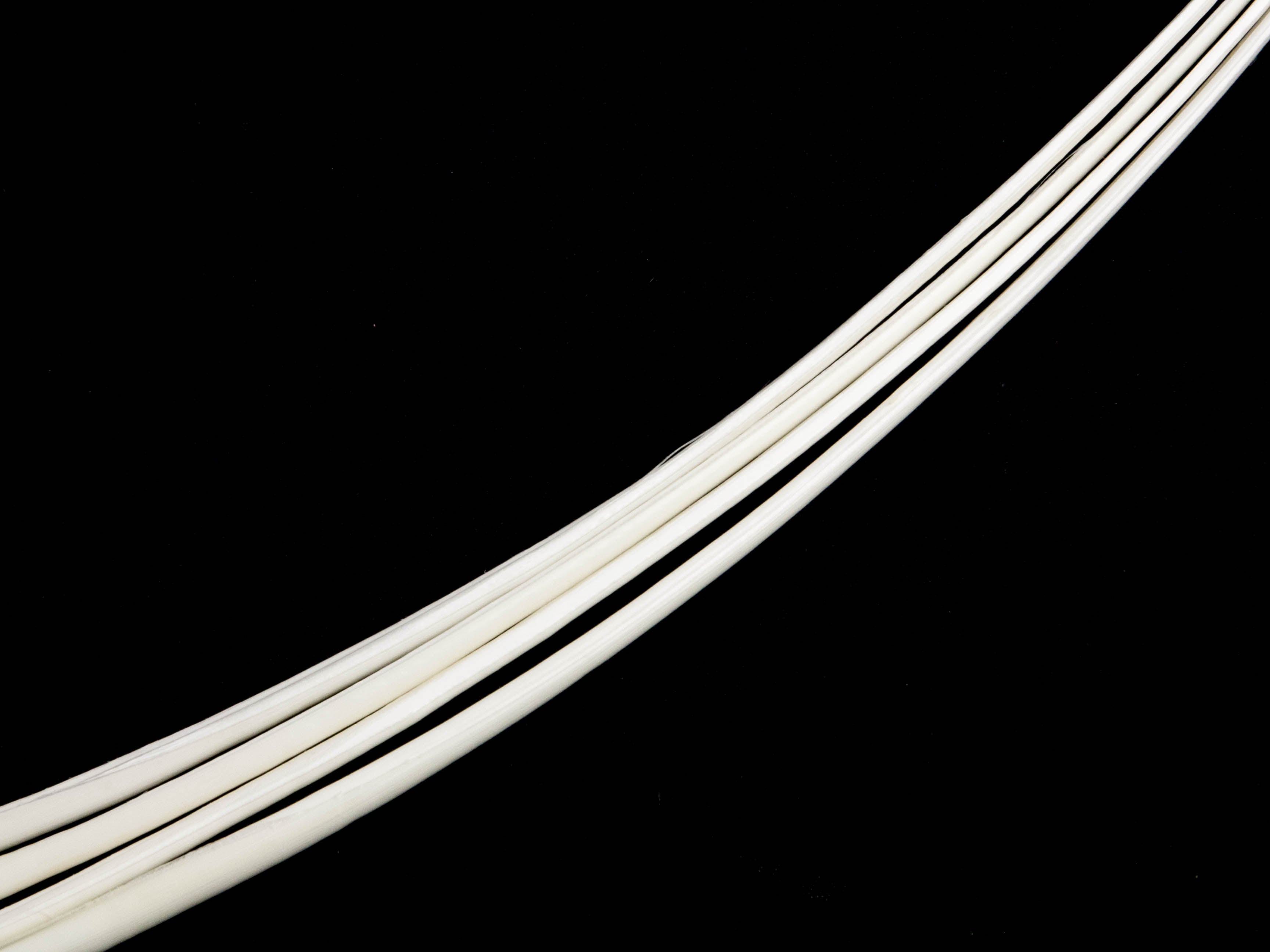 Stripped Ostrich Quill (Pack of 5)