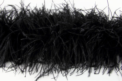 Ostrich Feather Boa with Stripped Coque - Fashion Colours