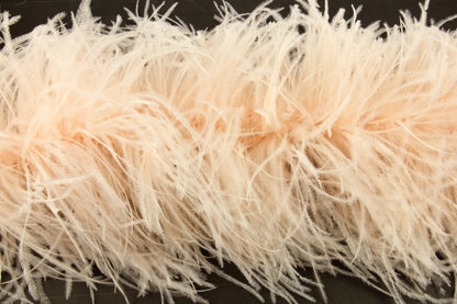 Ostrich Feather Boa with Stripped Coque - Fashion Colours