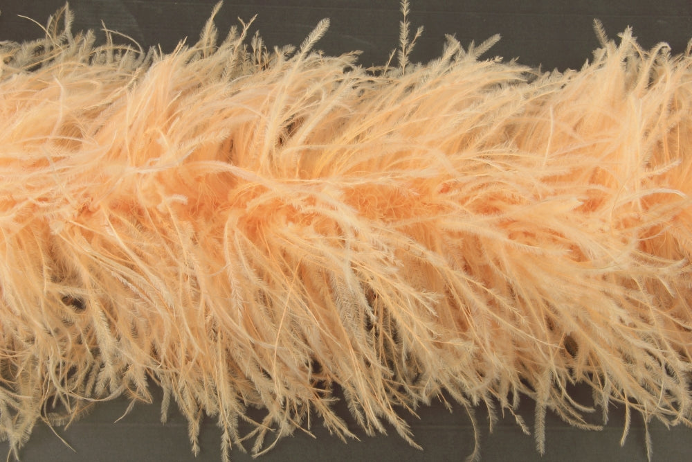 Ostrich Feather Boa with Stripped Coque - Dancewear Colours