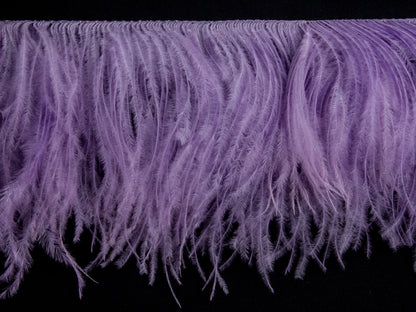 2 Ply Ostrich Feather Fringe (10cm depth) - Dancewear Colours