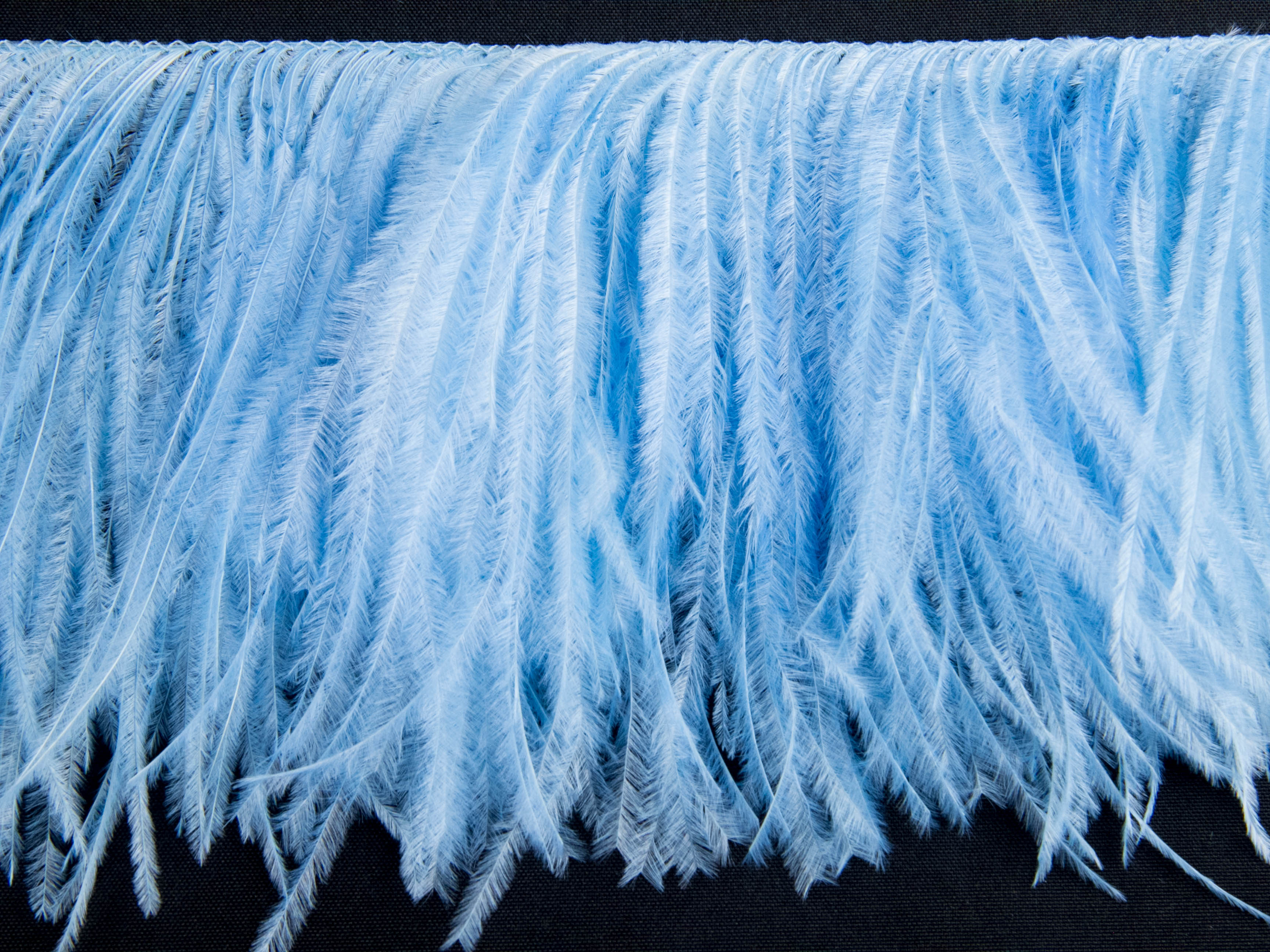 Ostrich Feather fringe with Lurex - Dancewear colours