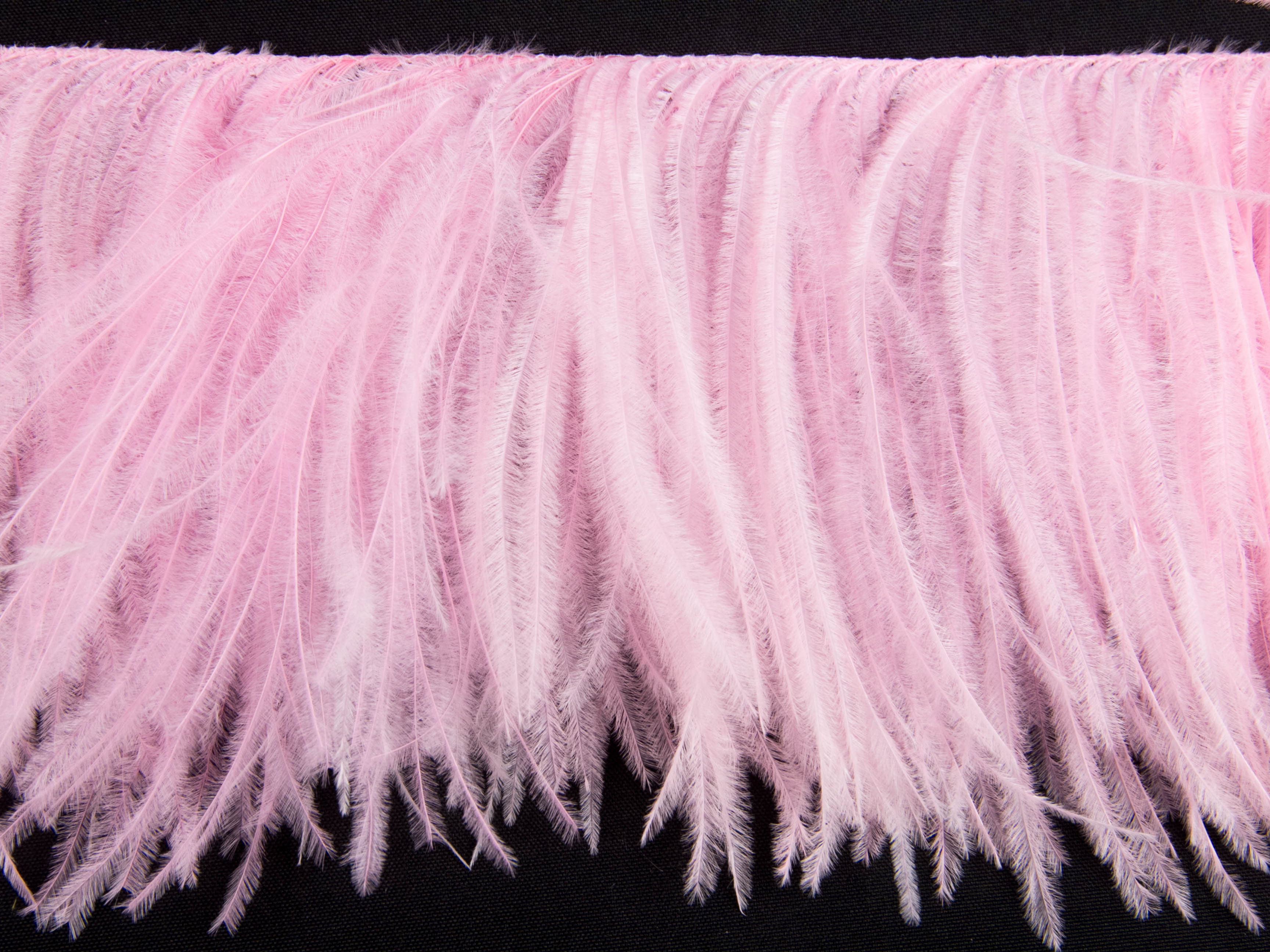 2 Ply Ostrich Feather Fringe (10cm depth) - Dancewear Colours