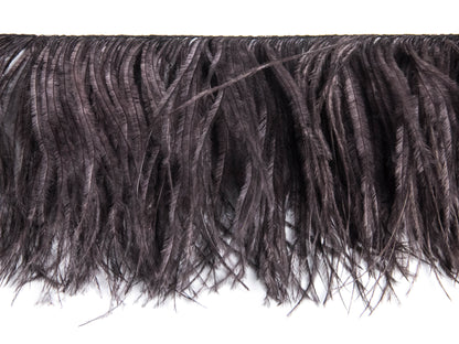 Ostrich Feather fringe with Lurex - Dancewear colours