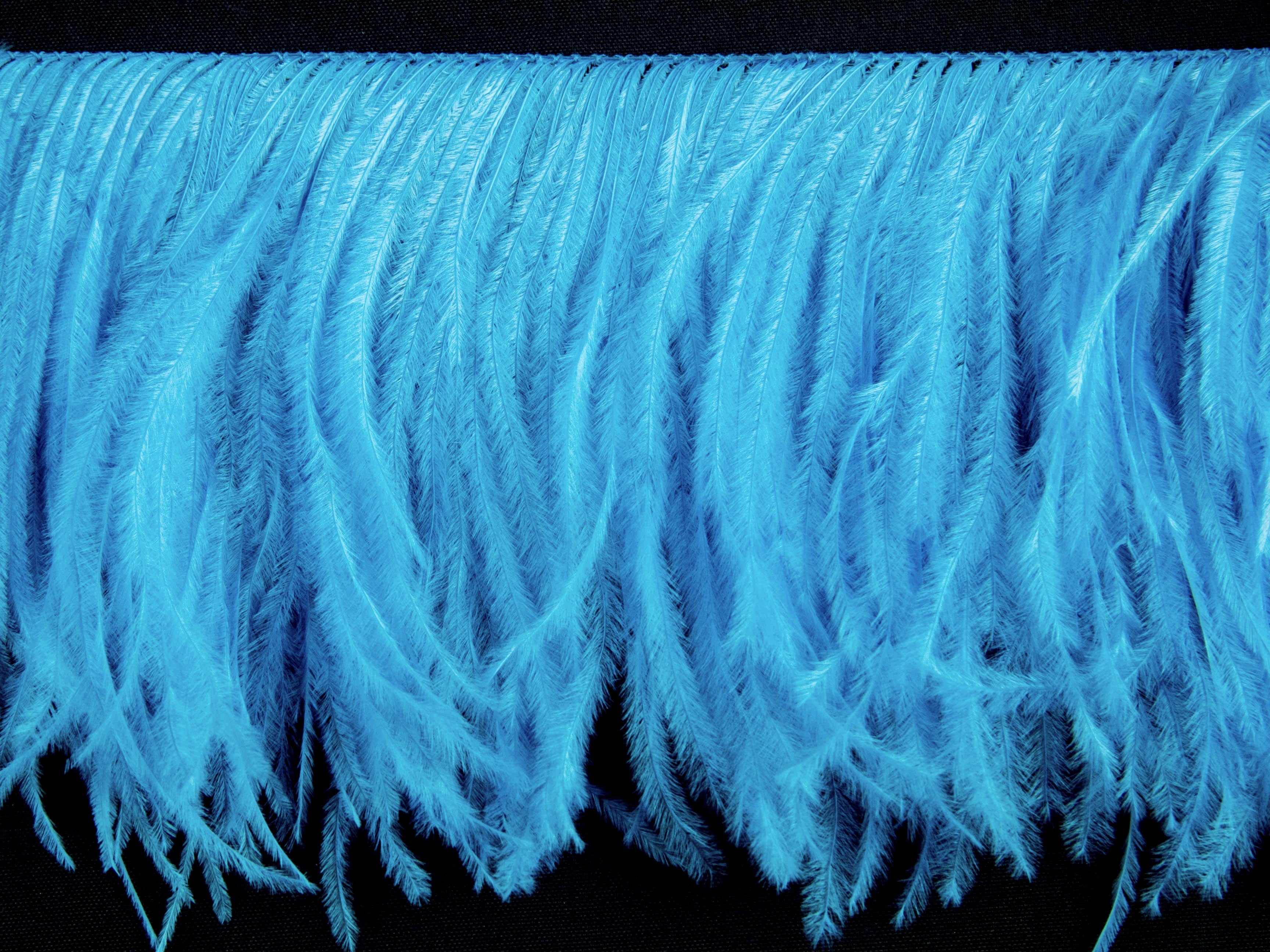 2 Ply Ostrich Feather Fringe (10cm depth) - Dancewear Colours