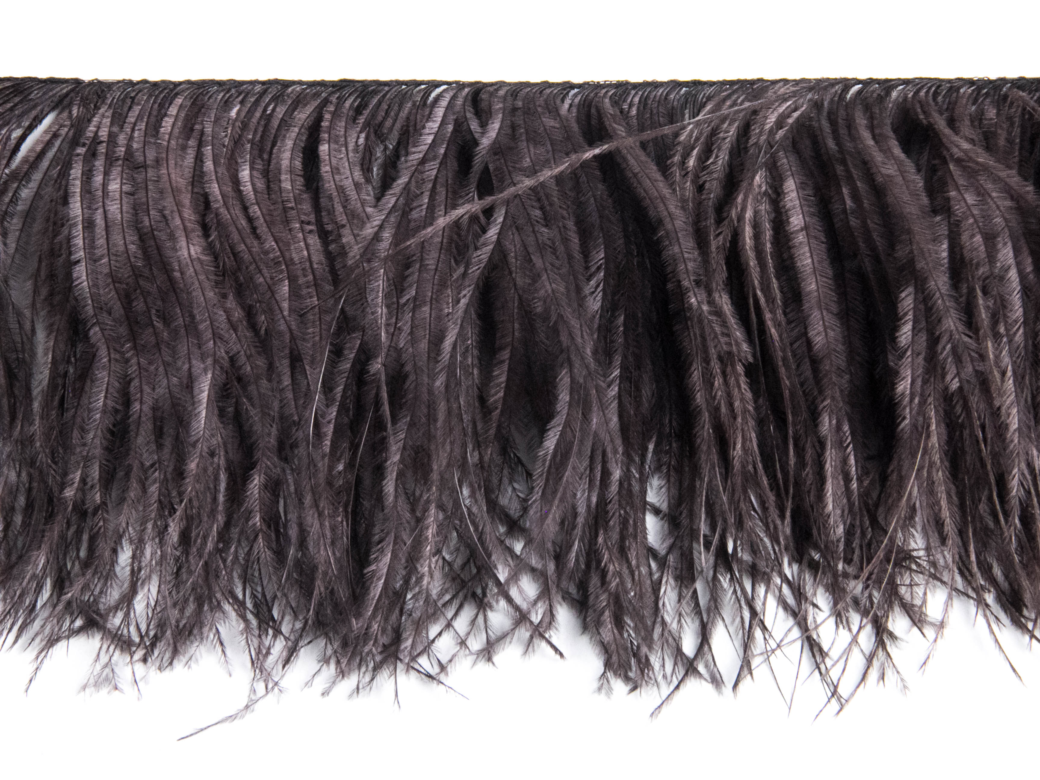 2 Ply Ostrich Feather Fringe (10cm depth) - Dancewear Colours