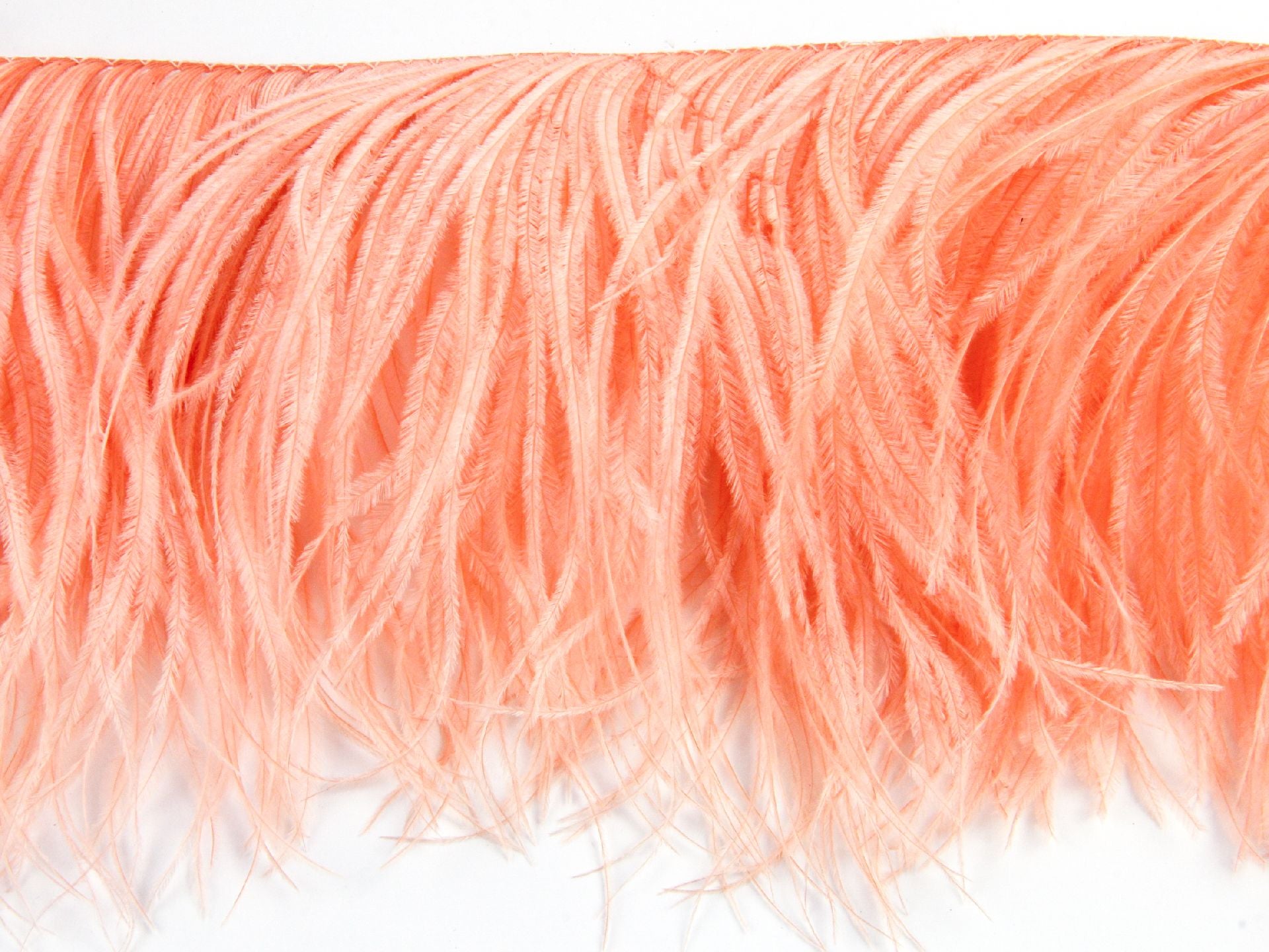 2 Ply Ostrich Fringe (13-15cm depth) - Fashion Colours