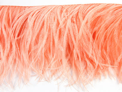 2 Ply Ostrich Fringe (13-15cm depth) - Fashion Colours