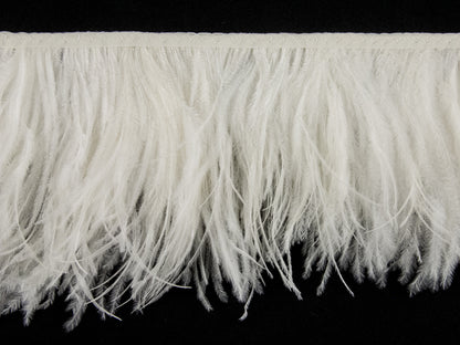 2 Ply Ostrich Feather Fringe 10 cm depth - Fashion Colours