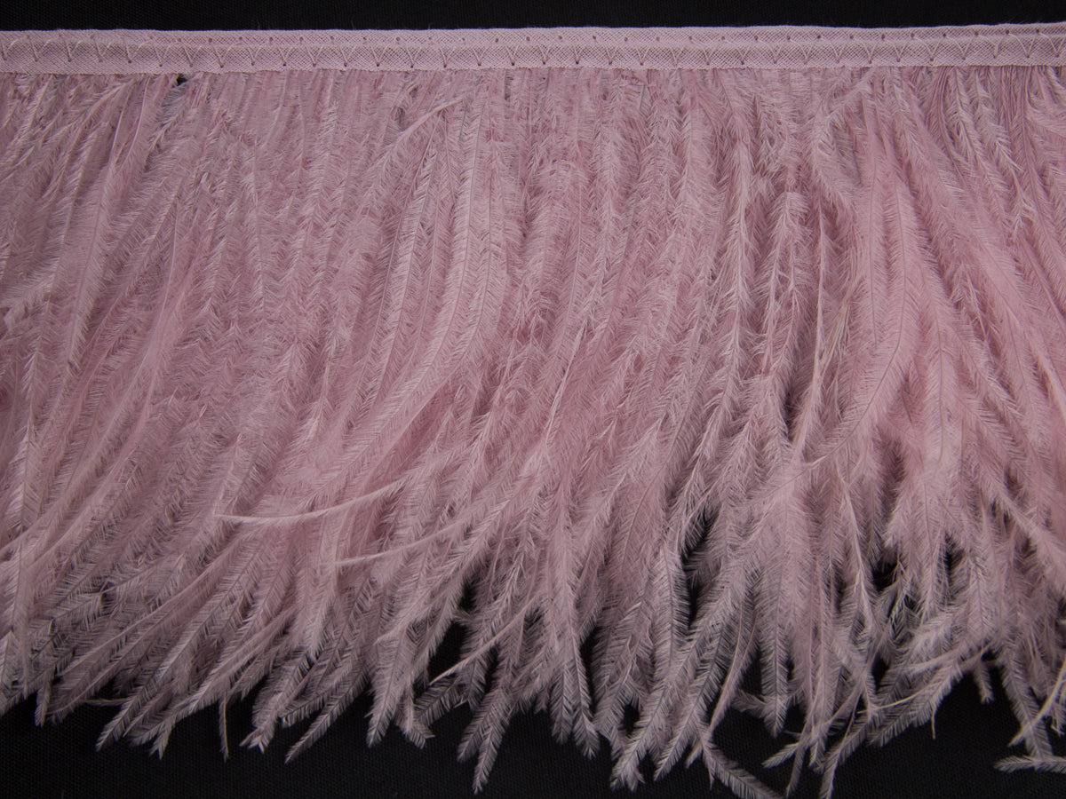 2 Ply Ostrich Feather Fringe 10 cm depth - Fashion Colours