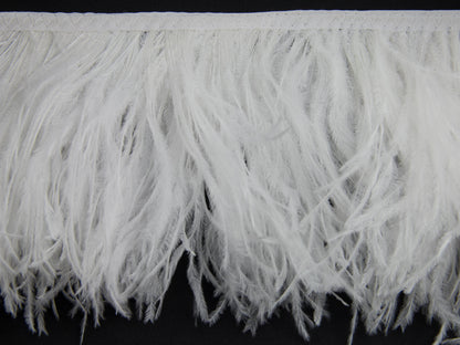 2 Ply Ostrich Feather Fringe 10 cm depth - Fashion Colours