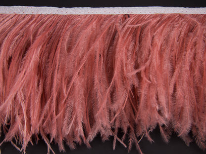 2 Ply Ostrich Feather Fringe 10 cm depth - Fashion Colours