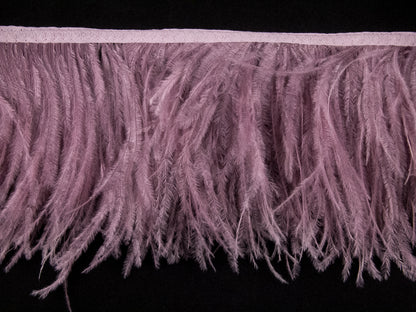 2 Ply Ostrich Feather Fringe 10 cm depth - Fashion Colours