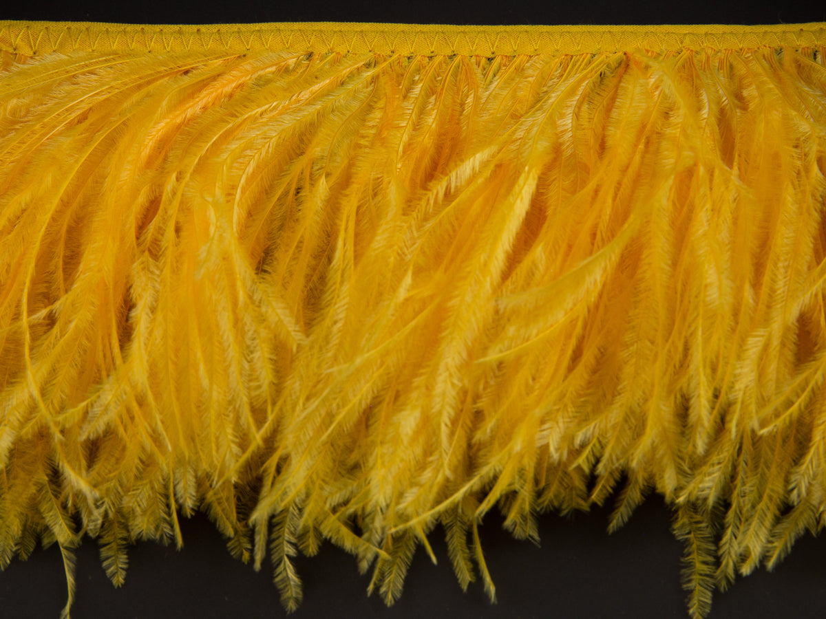 2 Ply Ostrich Feather Fringe 10 cm depth - Fashion Colours