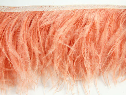 2 Ply Ostrich Feather Fringe 10 cm depth - Fashion Colours