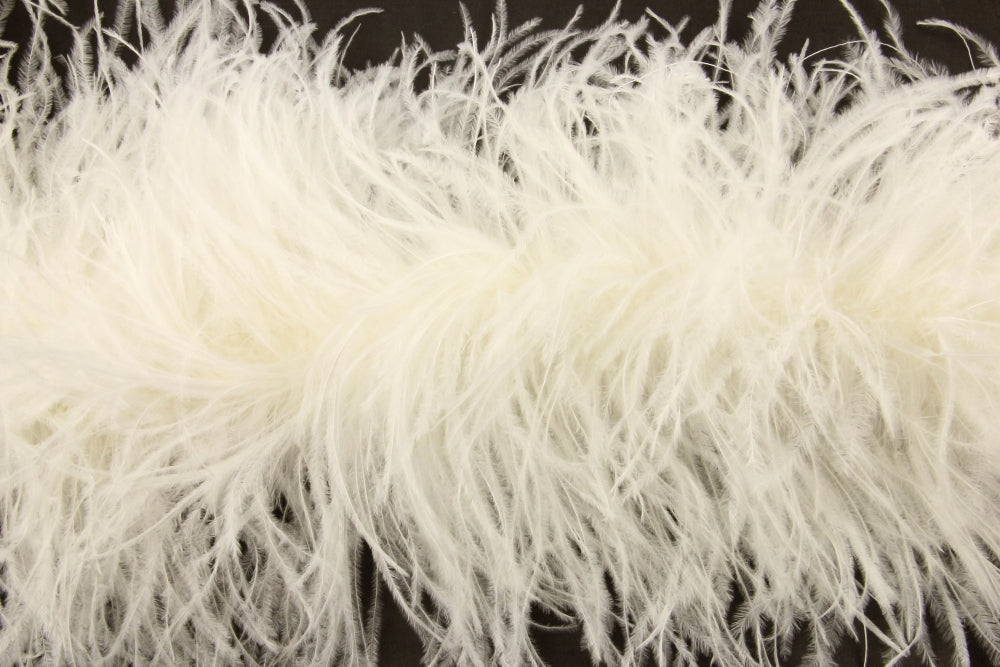 Ostrich Feather Boa with Stripped Coque - Fashion Colours