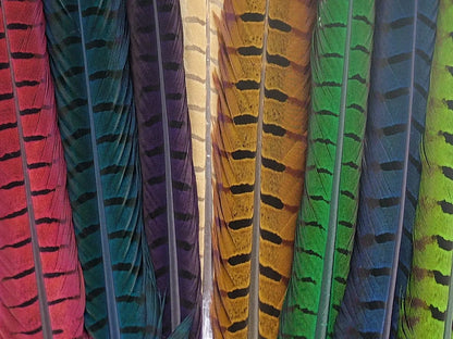 Ringneck Pheasant Centre Feather Dyed (Pack of 5)