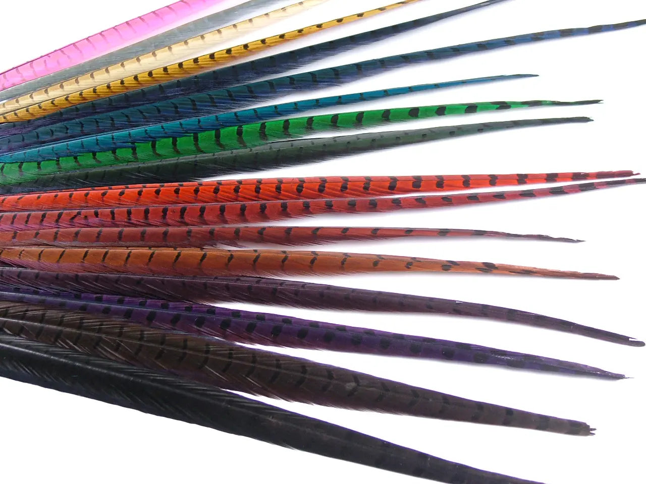 Ringneck Pheasant Centre Feather Dyed (Pack of 5)