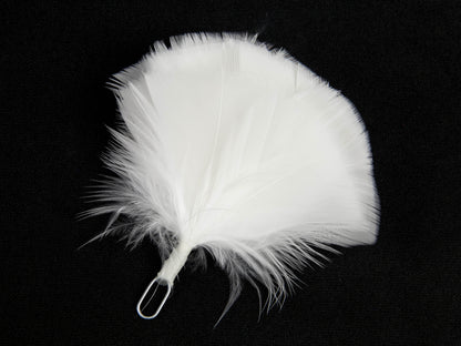 Queens Own Highlander plume (Pack of 5)