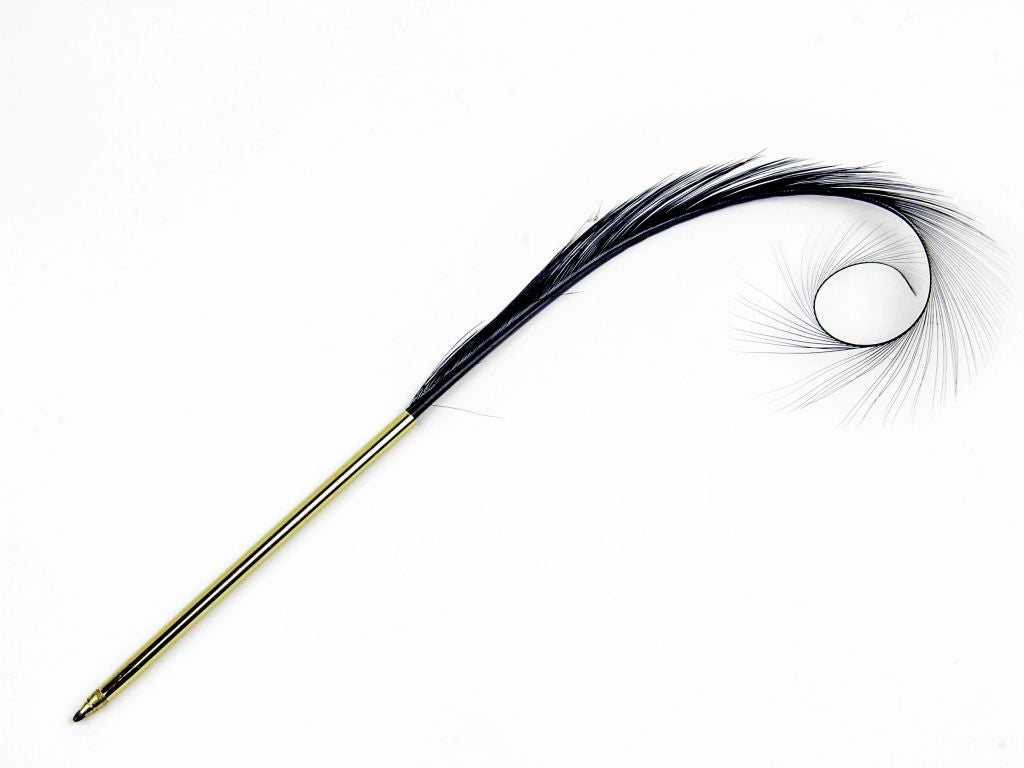 Curled and Burnt Pheasant Feather Pens (Pack of 10)