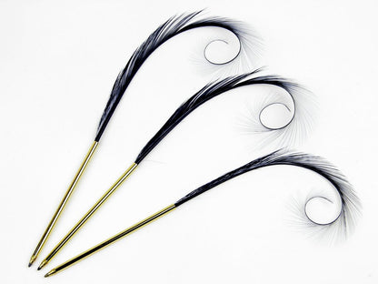 Curled and Burnt Pheasant Feather Pens (Pack of 10)