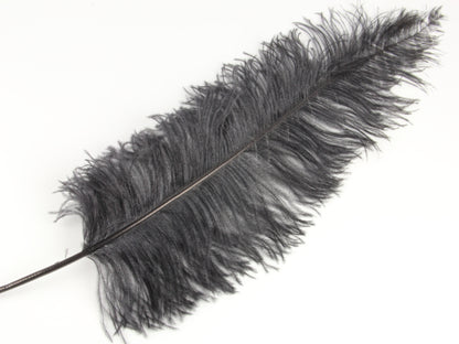 Ostrich Spadone Feather (50-65cm)