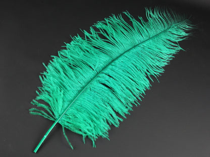 Ostrich Spadone Feather (50-65cm)