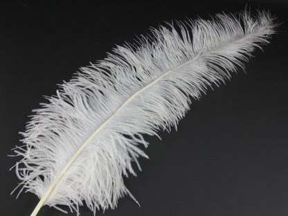 Ostrich Spadone Feather (50-65cm)