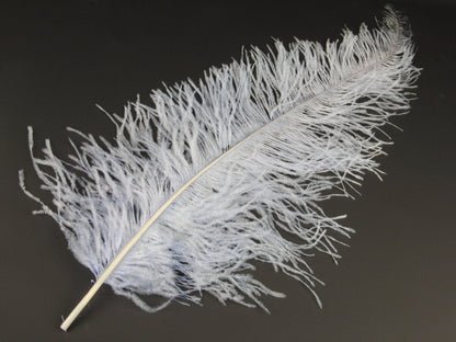 Ostrich Spadone Feather (50-65cm)