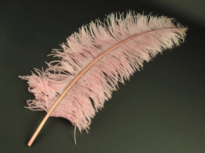 Ostrich Spadone Feather (50-65cm)