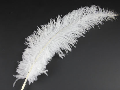 Ostrich Spadone Feather (50-65cm)