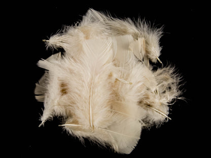 Bulk Turkey Coquille Feathers