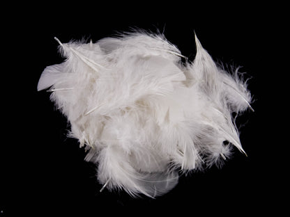 Bulk Turkey Coquille Feathers