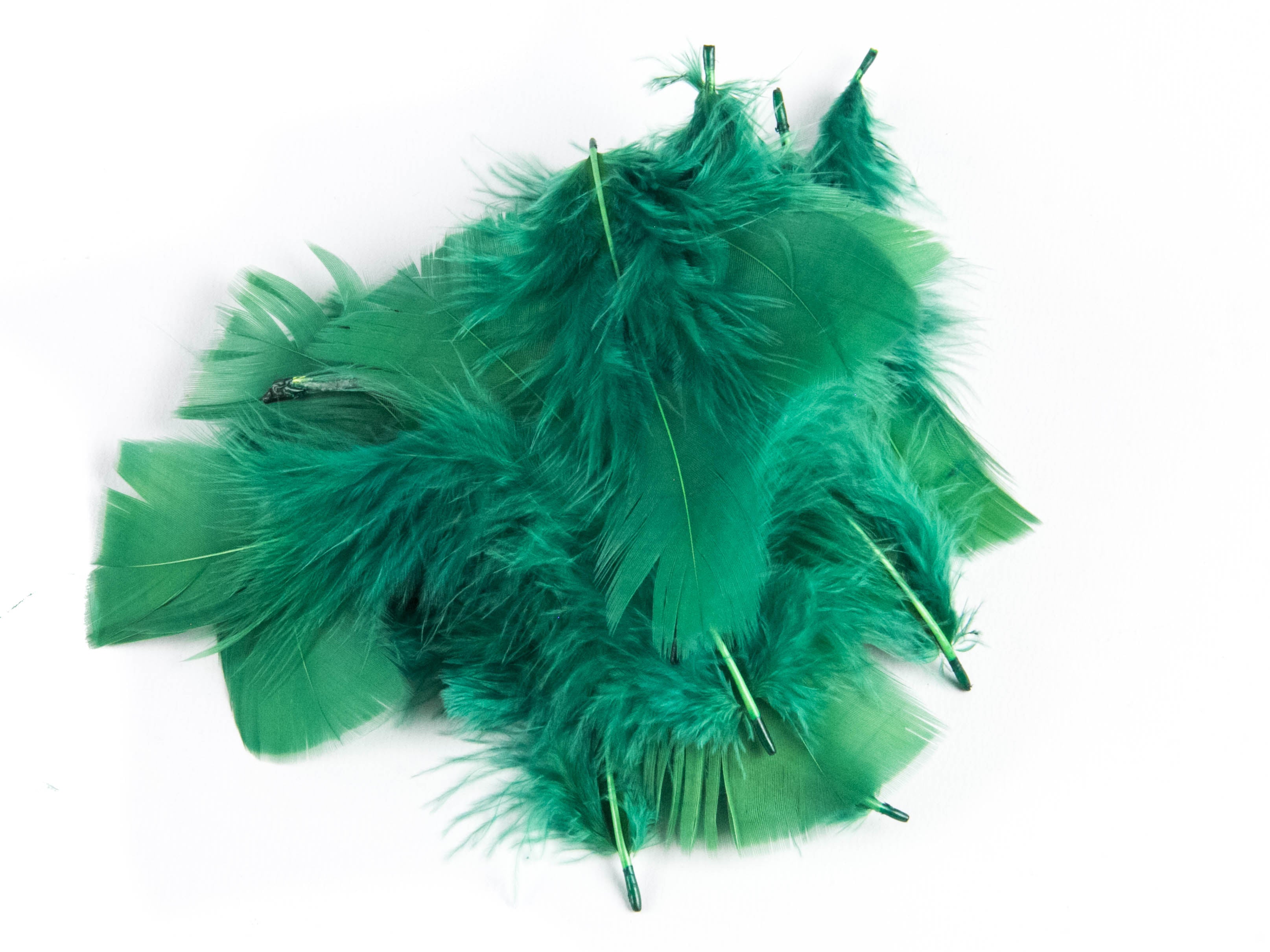 Bulk Turkey Coquille Feathers